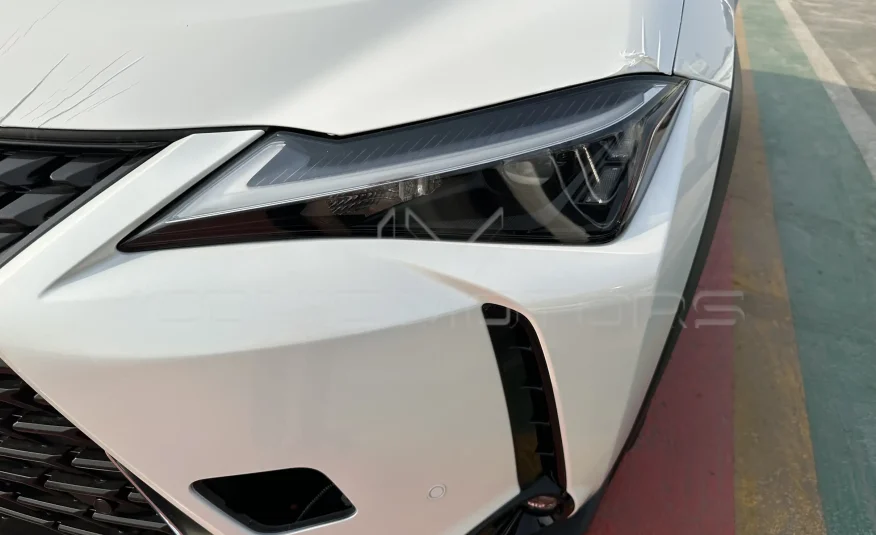 2023 LEXUS UX200 LUXURY 2.0L LU315